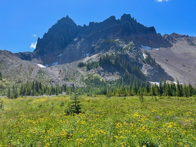 Canyon Meadows