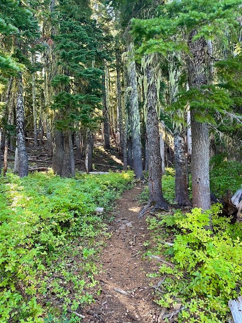 Carl Lake