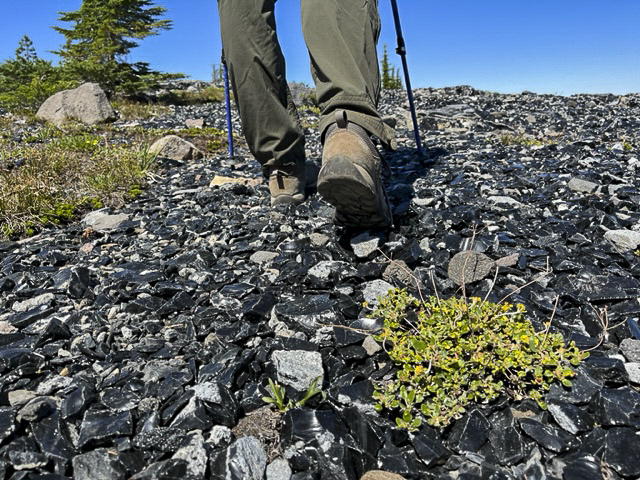 Obsidian Trail